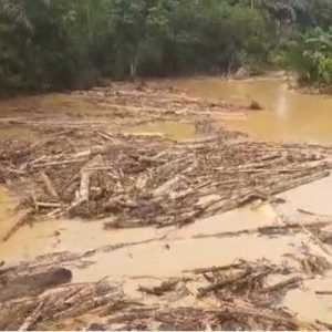 Pencemaran Sungai Singgersing Diduga Akibat Pembukaan Lahan Sawit
